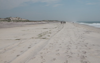 Four backpackers hike down long stretch of beach.