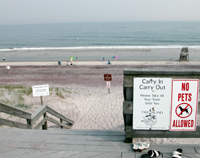 No Dogs Sign at beach