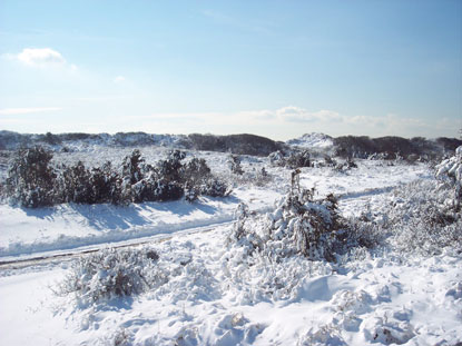 Snow-covered dunes.