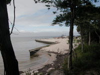 Eroding shoreline beside shrubs and trees, bulkhead and marina in background.