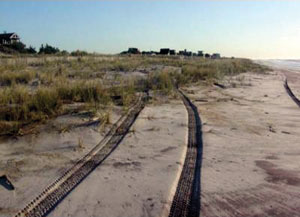 ORV tracks run over emerging dune grass near the beach.