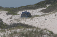 Small tent in open swale between dunes.