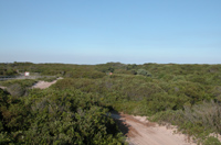 Sand trail winds through shrubby vegetation past small campsites behind dunes.