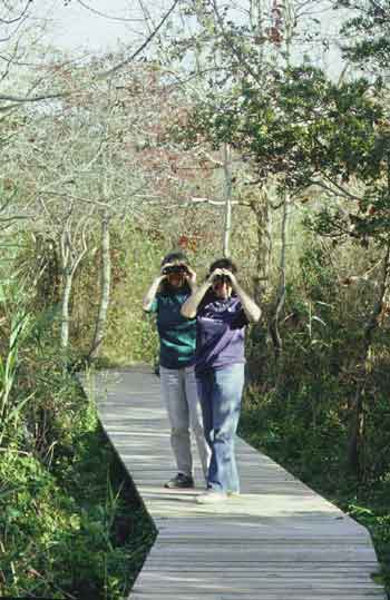 Two bird-watchers looking through binoculars.
