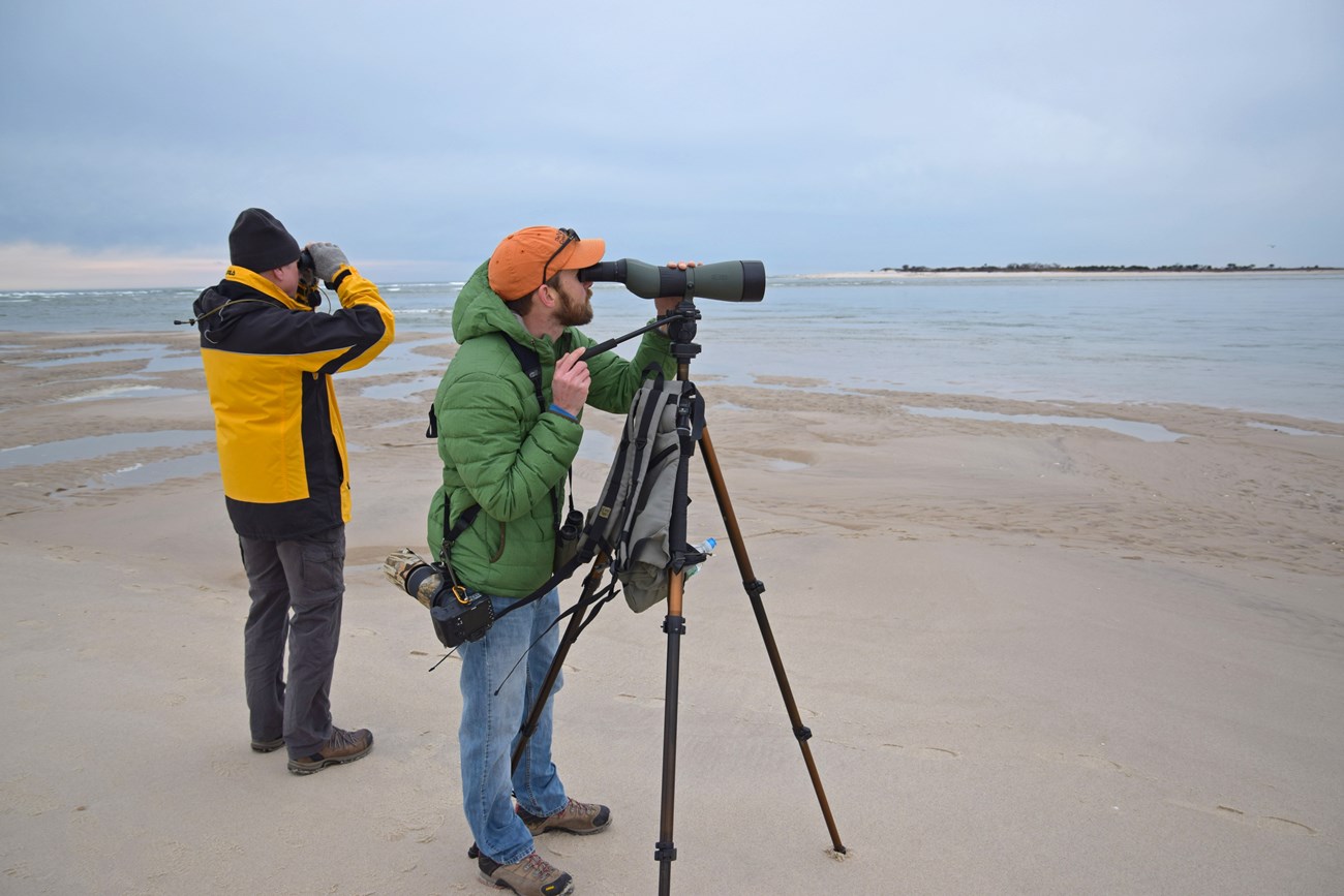 Two people birdwatching at the breach on Fire Island.