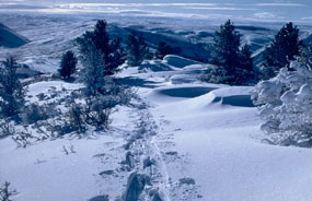 Snowshoeing is one way to experience the snow covered winter landscape of Fossil Butte National Monument. Pictured here are snowshoe tracks along Cundick Ridge. Snowshoeing is one way to experience the snow covered winter landscape of Fossil Butte National Monument. Pictured here are snowshoe tracks along Cundick Ridge.