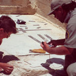 quarry program