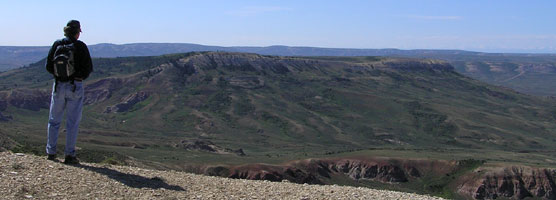 view from Cundick Ridge road