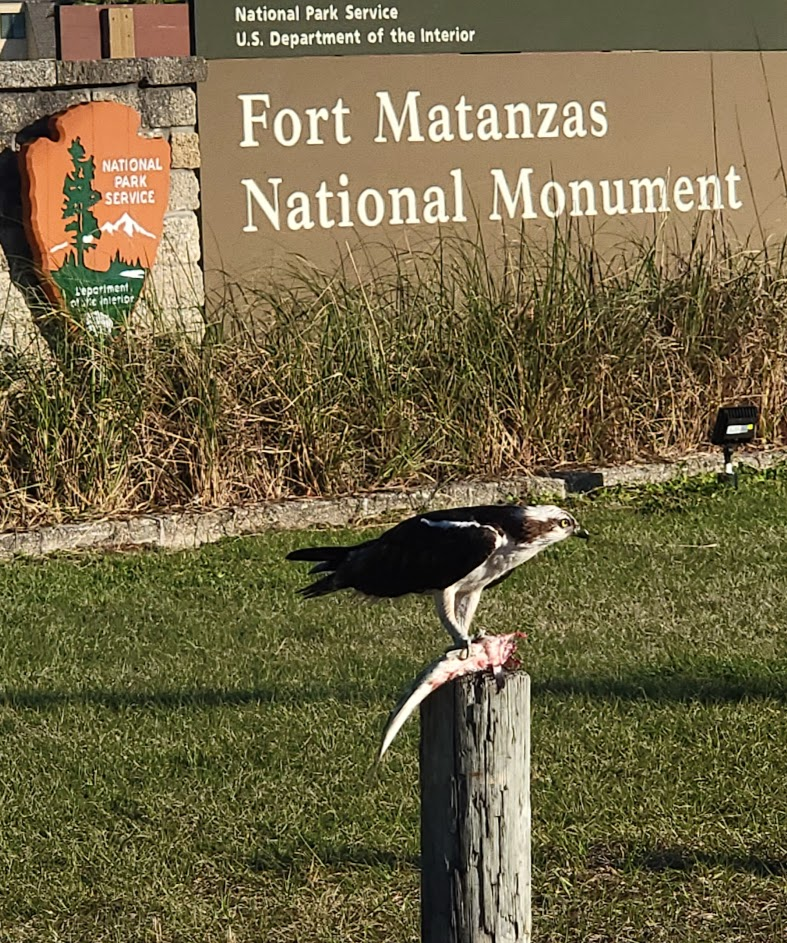 Osprey with fish at main entrance sign