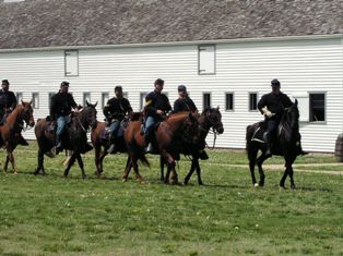 Civil War Cavalry Reenactors