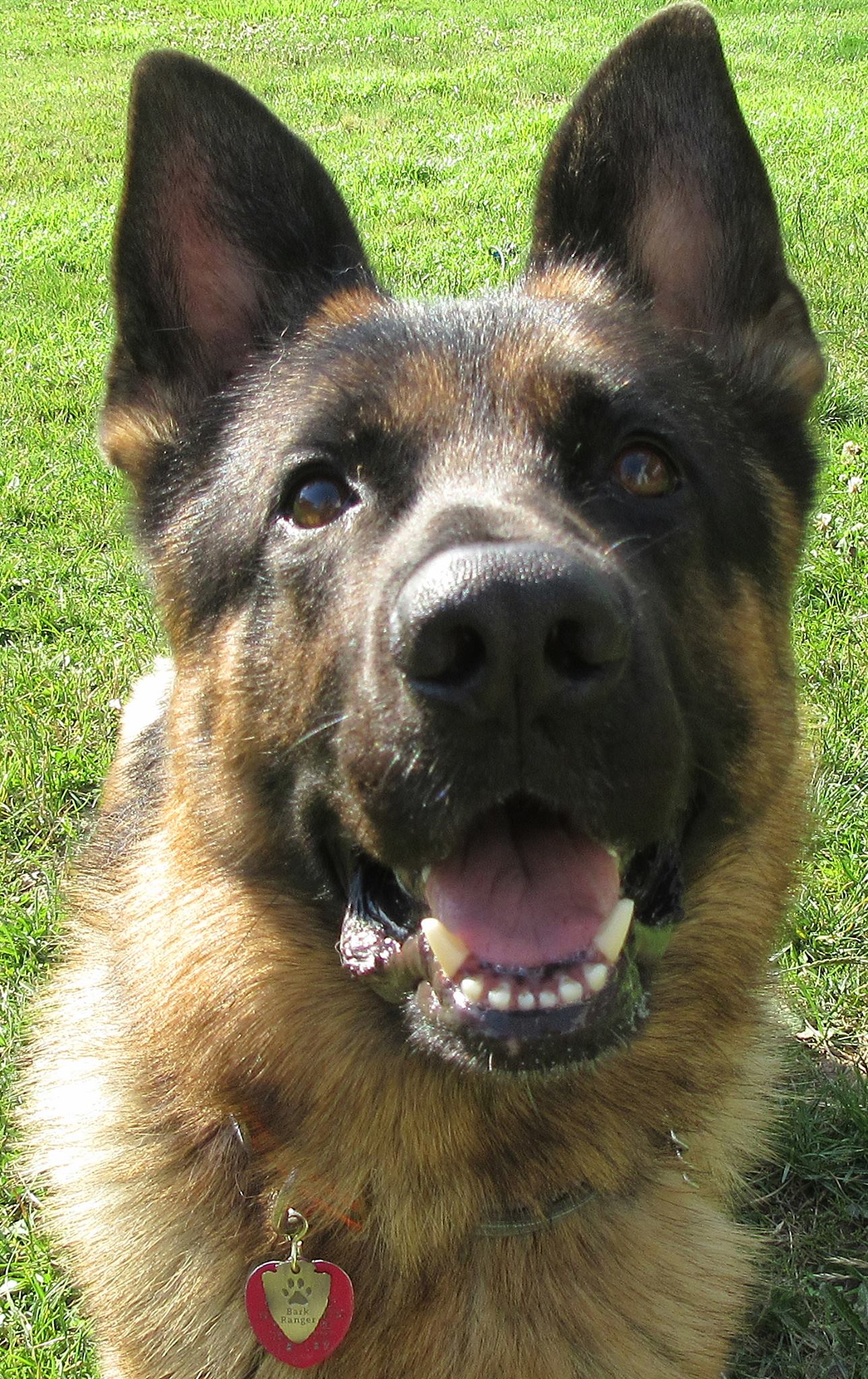 Be A Friendship Hill BARK Ranger (U.S. National Park Service)