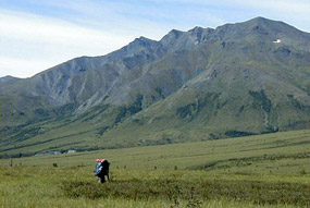 Hiker dwarfed by the vastness of the plain and the mountain rising in the distance.
