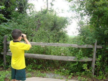 Now is a great time to get out and see the fall migration at Jamaica Bay.