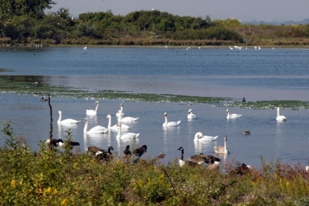 Jamaica Bay Wildlife Refuge