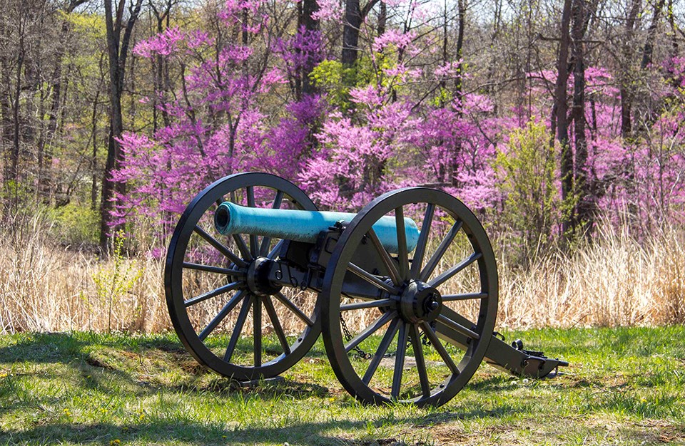 Spring 2018 Gettysburg National Military Park (U.S. National Park