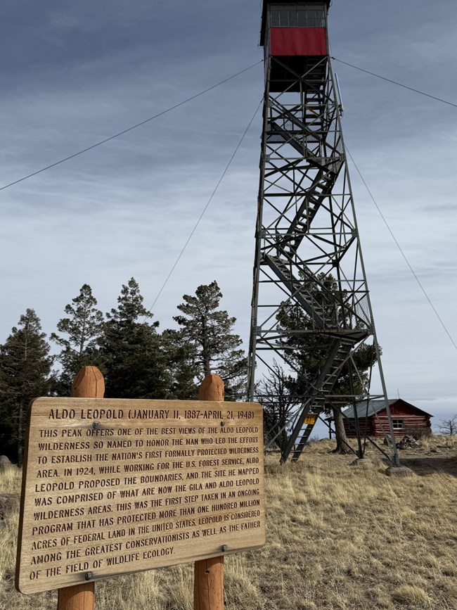 A trail that views a fire tower in the background stretching to the top of the frame with a sign in the foreground talking about Aldo Leopold.