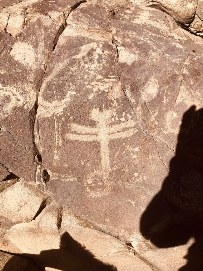 A Dragonfly image is carved into a rock, the dragonfly is a lighter color than the color of the rock that hasn't been altered