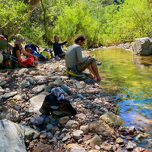 A group of people sit by a creek with flowing water and lush green vegetation surrounding them.
