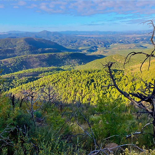 A view overlooking the Gila National Forest, the view shows mountains in the distance a rolling hills below and lush green vegetation.
