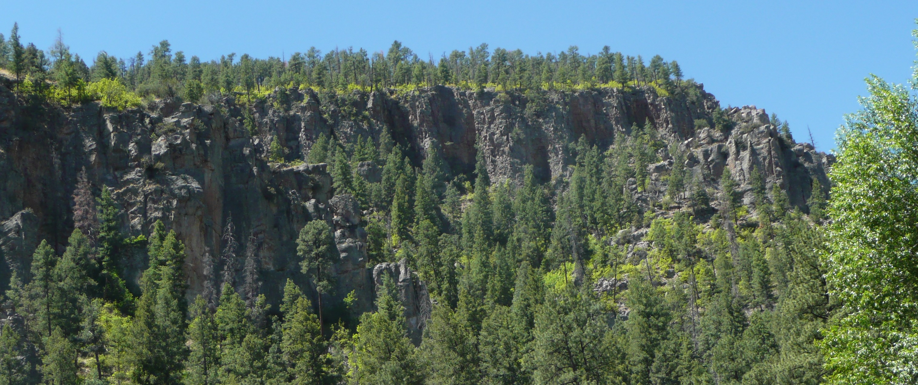 A jagged cliff stands out against blue sky, topped and surrounded by the many-hued greens of countless trees.