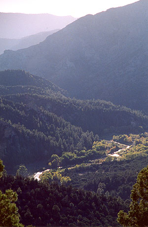 A photo of the Gila River viewed from Route 15 enroute to the Cliff Dwellings