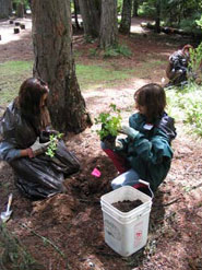 Girls planting plants