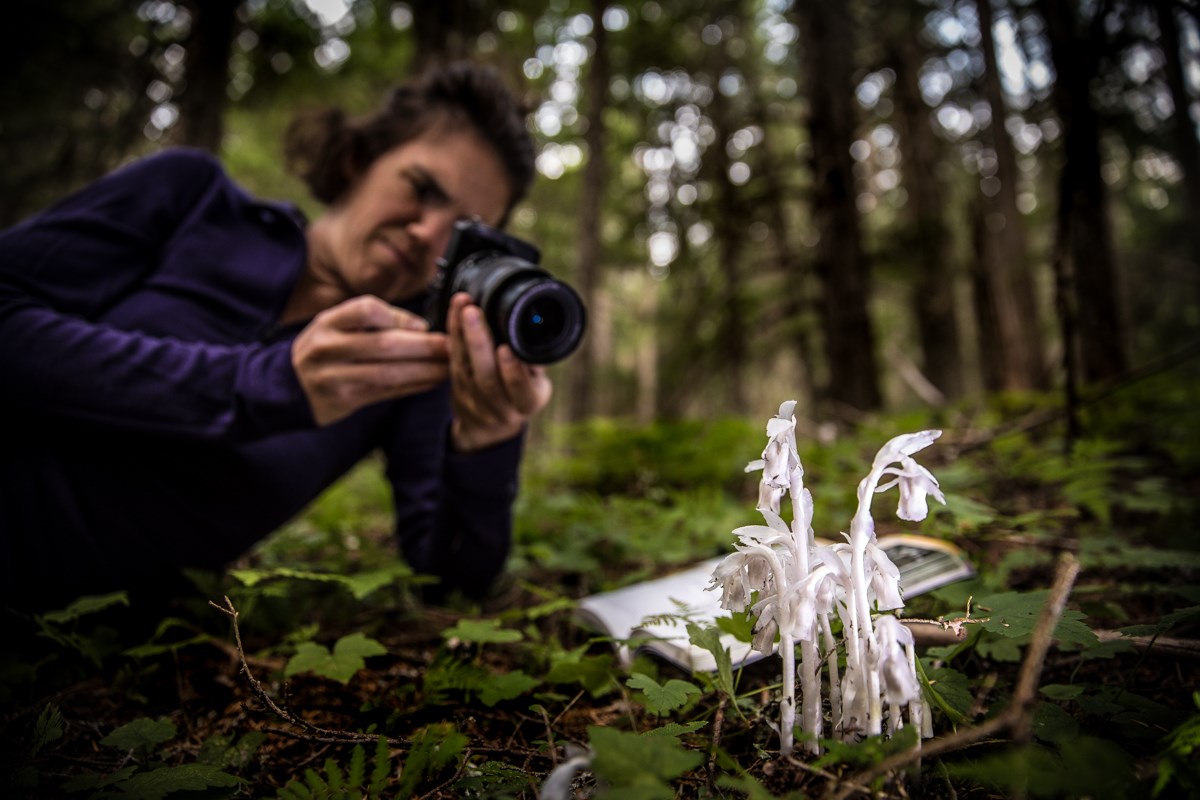 Person photographs a white bundle of flowers in a dark forest.