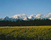 Big Prairie Grasslands