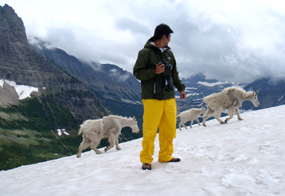 CCRLC Intern with Mountain Goats