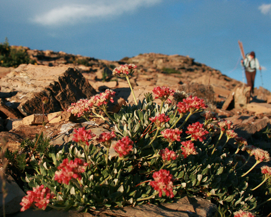 Pitamakan Peak