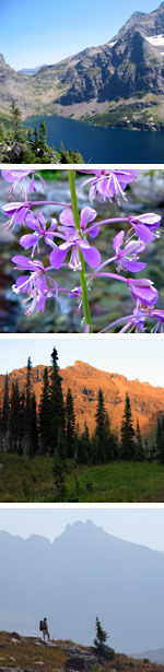 images of the backcountry