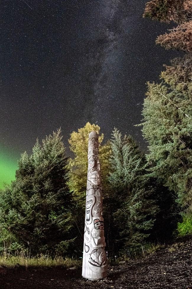 A star-filled sky shows a hint of aurora blocked by trees. The healing totem is dead center.