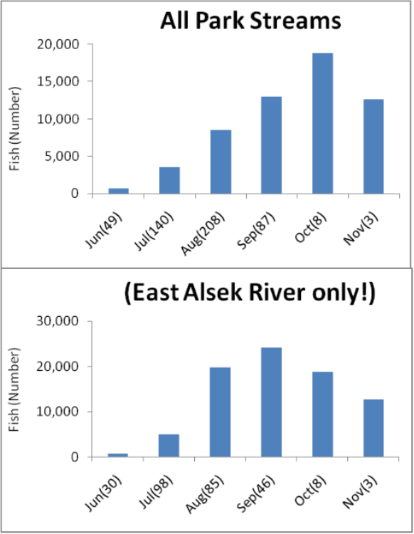 a graph showing the run times for sockeye salmon in a) all park streams and b) the East Alsek River. For all park streams the highest abundance of fish was recorded in October, and for the East Alsek River it was in September.