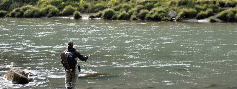 Fishing in the Bartlett River