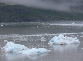 Ice bergs float in the sea aftre calving off the face of a tidewater glacier.