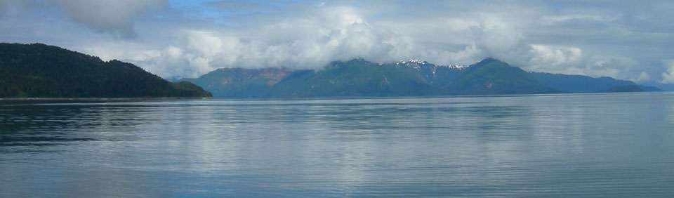 Glacier Bay scenic scene