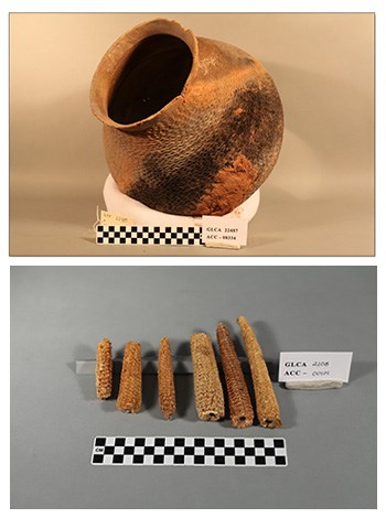 Archival display: Prehistoric pot, corn cobs