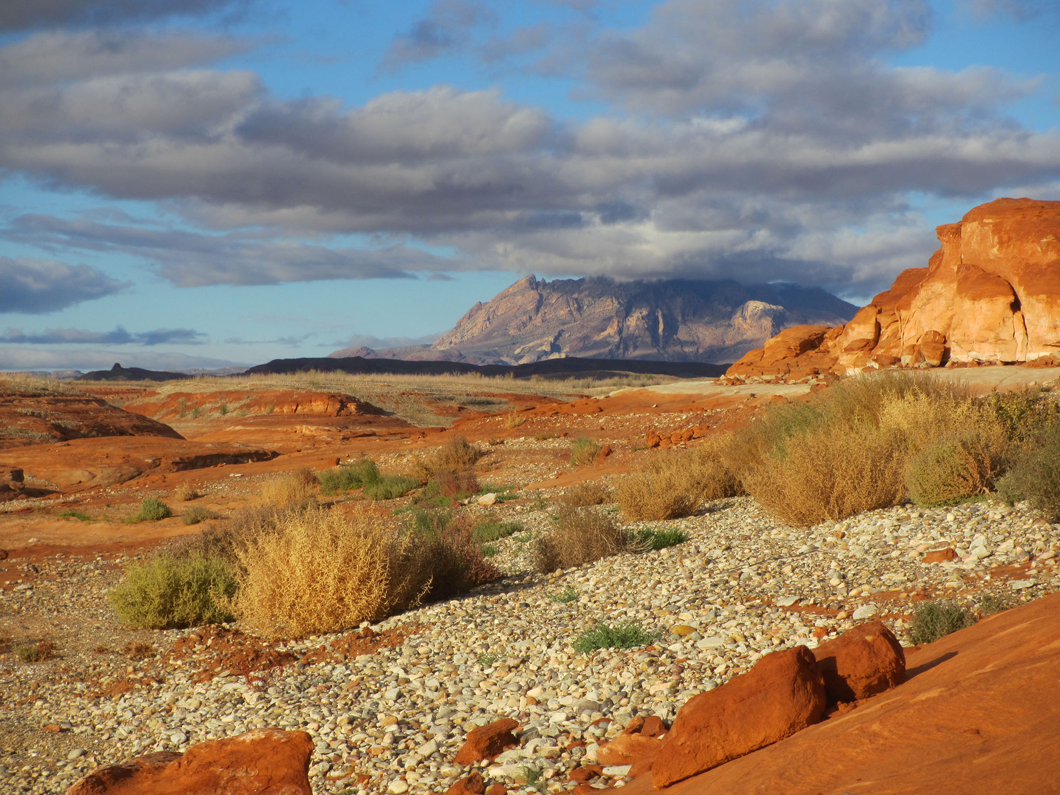 round cobbles on sandstone with tumbleweeds. Mountain in background.