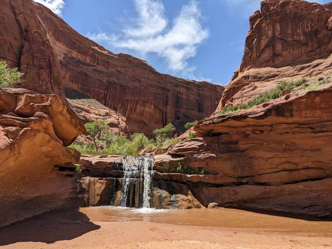 A sandstone canyon with lush trees and grasses. A waterfall flows into the river below.