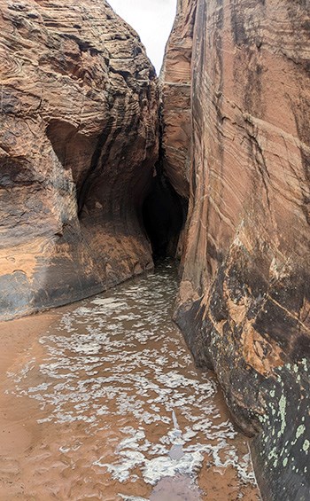Brown water flows downstream into a slot canyon.