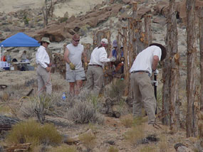 volunteers help repair cattle fencing on National Public Lands Day