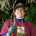 Learn about the many volunteers opportunities that are available to you within the San Francisco Bay Area.