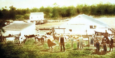 farming family standing in field with cows in front of barns and paddocks