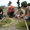 Staff monitoring vegetation at Crissy Field.
