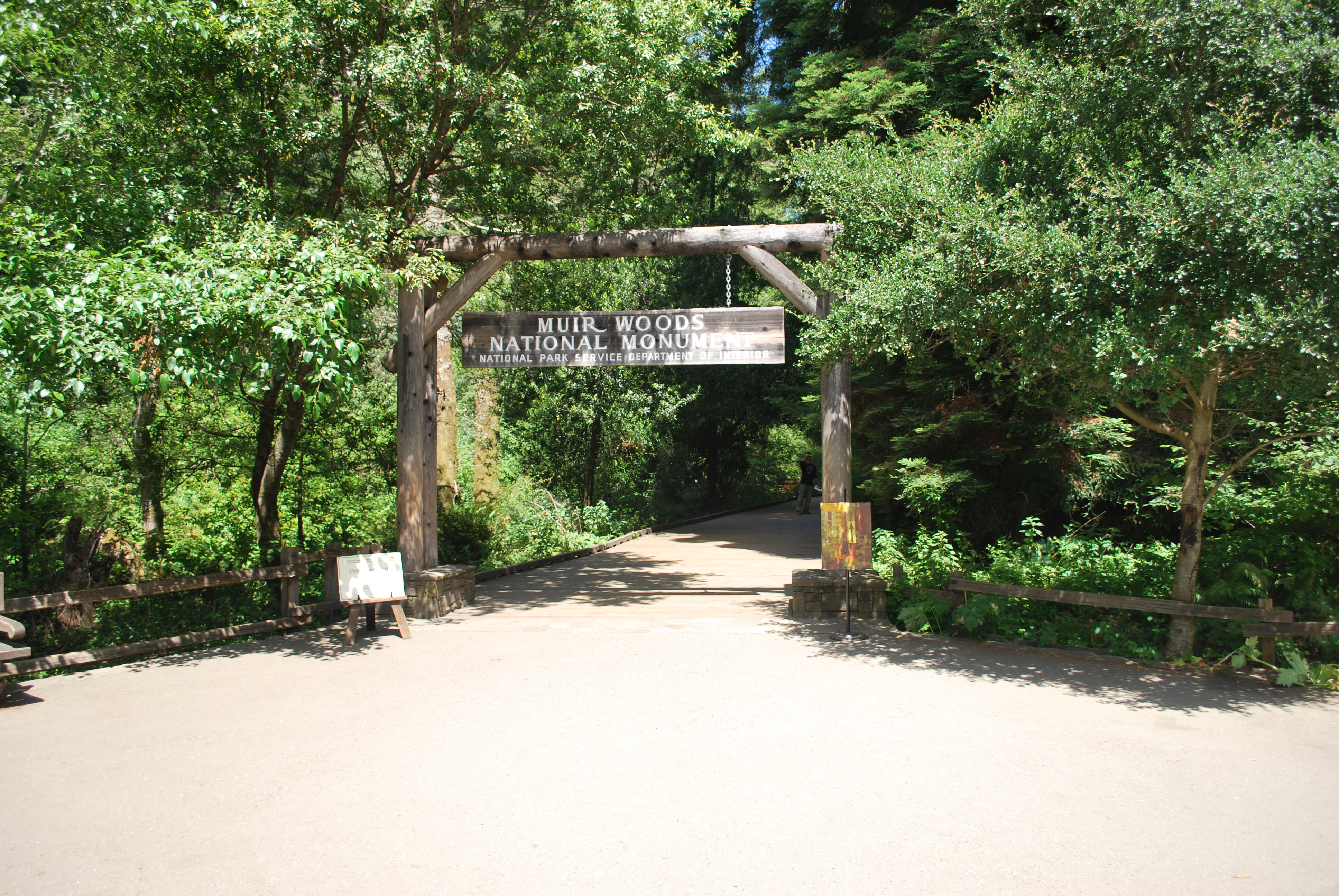 The sign at the beginning of the wood log loop trail at Muir Woods. Beuatiful Green foilage and trees in the background.