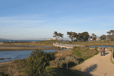 Crissy Field next to the estuary with an accessible bridge crossing over to the beach areas.