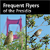 Frequent Flyers brochure (bird watching)