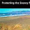 Protecting the Snowy Plover brochure