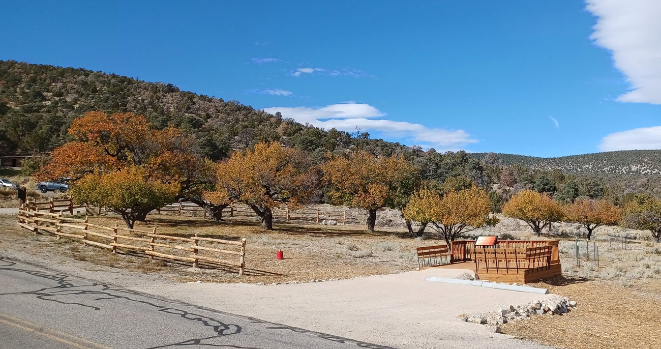 view of trees and pullout