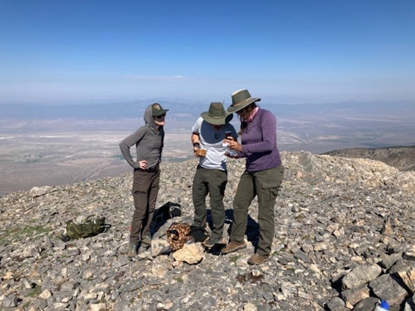 three people standing on top of mountain